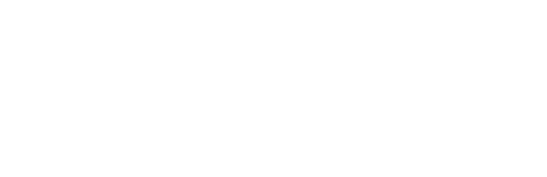 Plugin Movement Logo